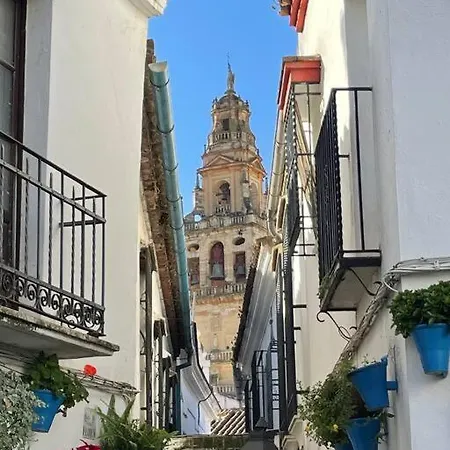 Geysotur El Templo *